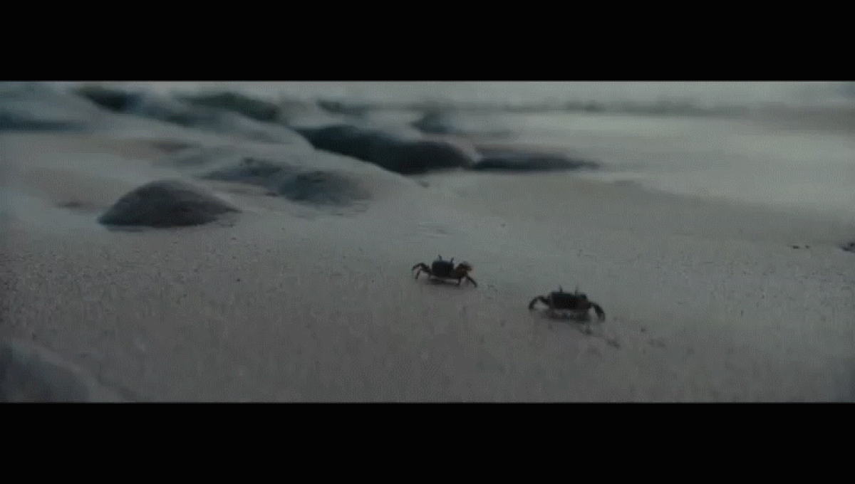 杜蕾斯官方勇敢迈出第一步视频广告